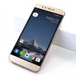 H-Mobile C1001 3/32Gb gold