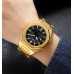 Skmei 1816GDBK Gold-Black
