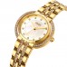Skmei 1979GD Gold